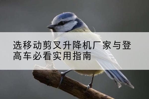松原电动升降机厂家-选移动剪叉升降机厂家与登高车必看实用指南