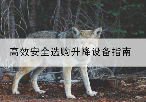 松原升降货梯厂家推荐-*安全选购升降设备指南