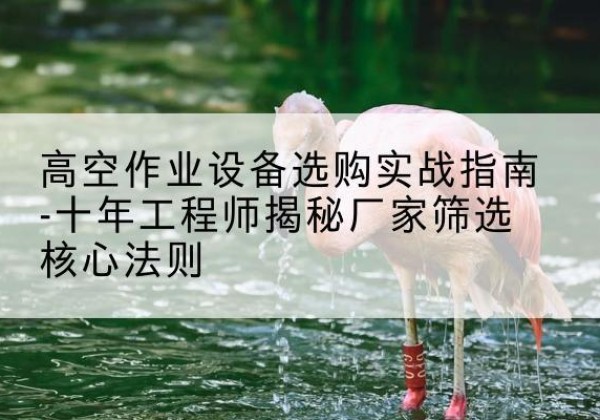 松原剪叉式升降机厂家-高空作业设备选购实战指南-十年工程师揭秘厂家筛选核心法则